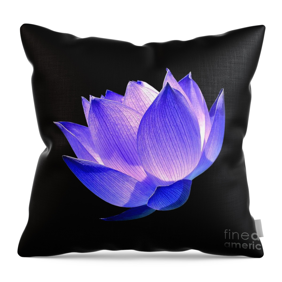 Flower Throw Pillow featuring the photograph Enlightened by Jacky Gerritsen