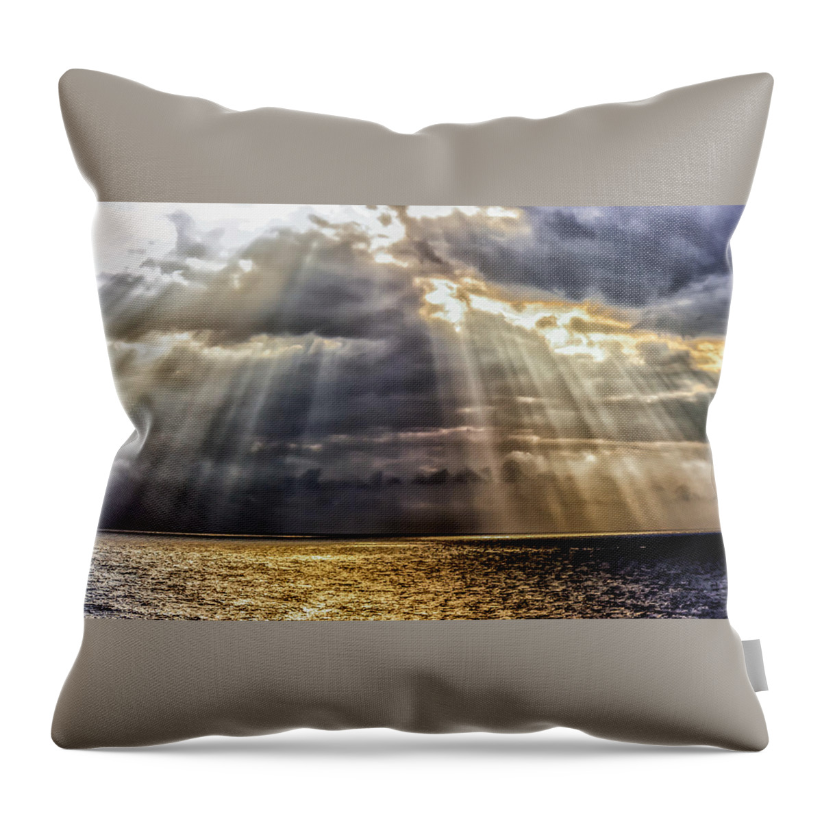 Landscape Throw Pillow featuring the photograph The Great Hall by Charles McCleanon