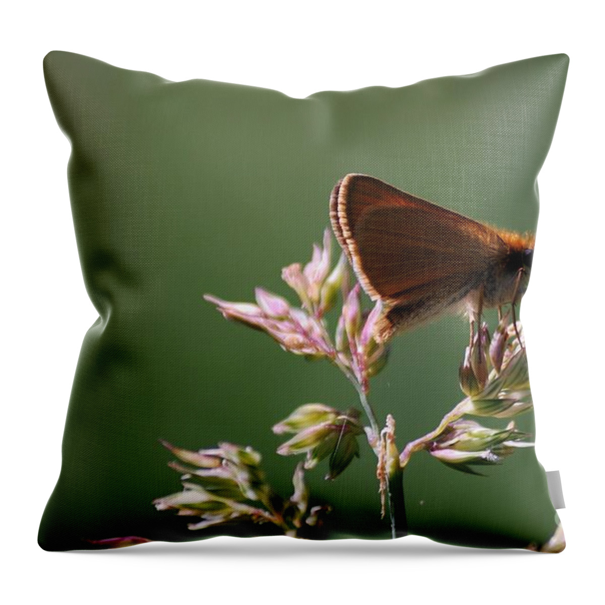 Butterfly Throw Pillow featuring the photograph European Skipper by Randy Bodkins