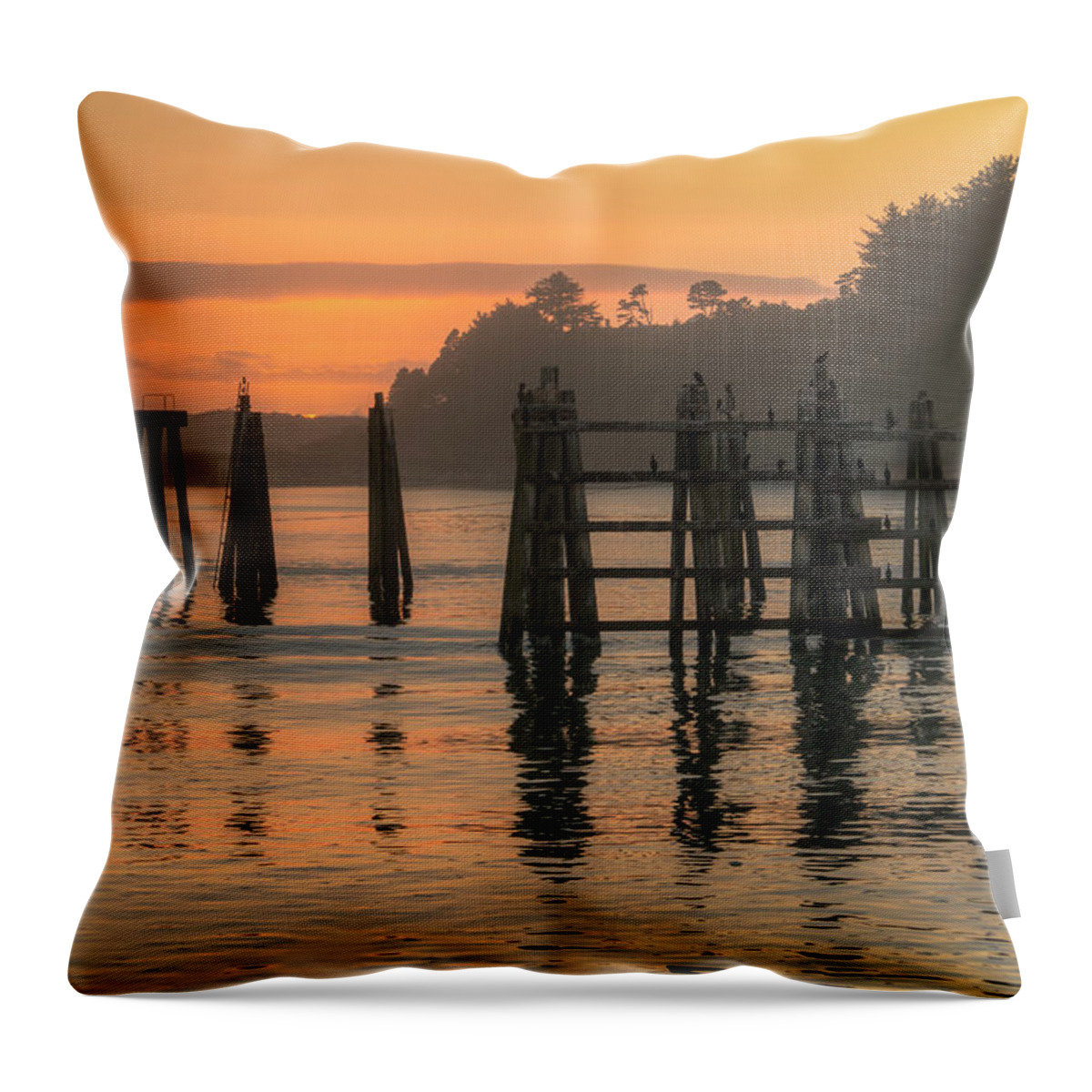 Evening Throw Pillow featuring the photograph Evening Reflections by Kristina Rinell