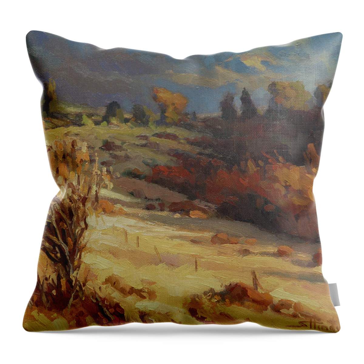 Country Throw Pillow featuring the painting Evening Shadows by Steve Henderson