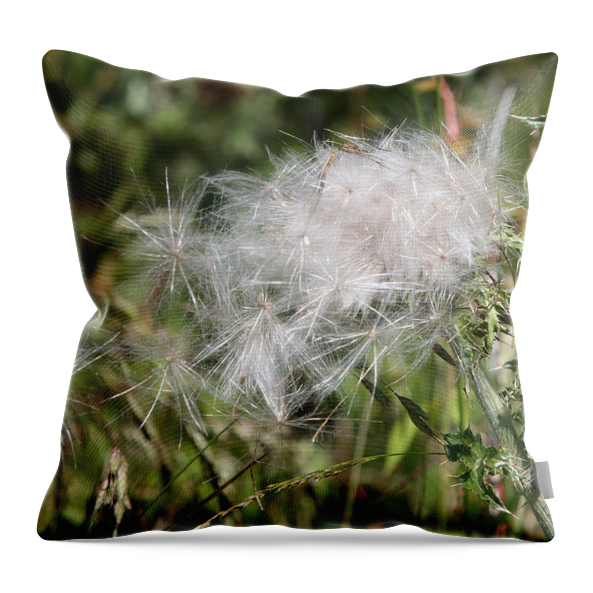 Thistle Throw Pillow featuring the photograph Fairy Dust by Captain Debbie Ritter
