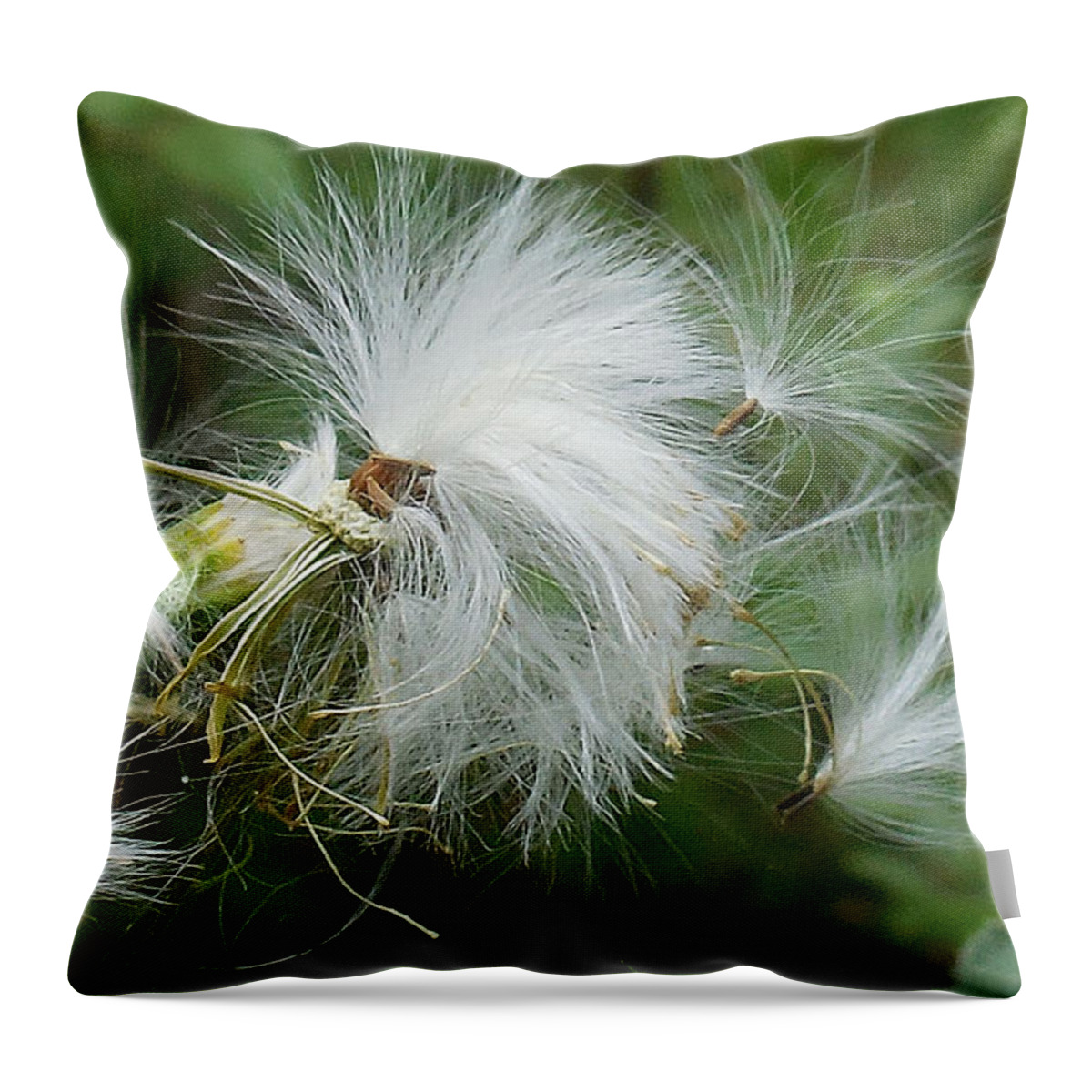 Maritime Forest Throw Pillow featuring the photograph Fairy Flower by Captain Debbie Ritter