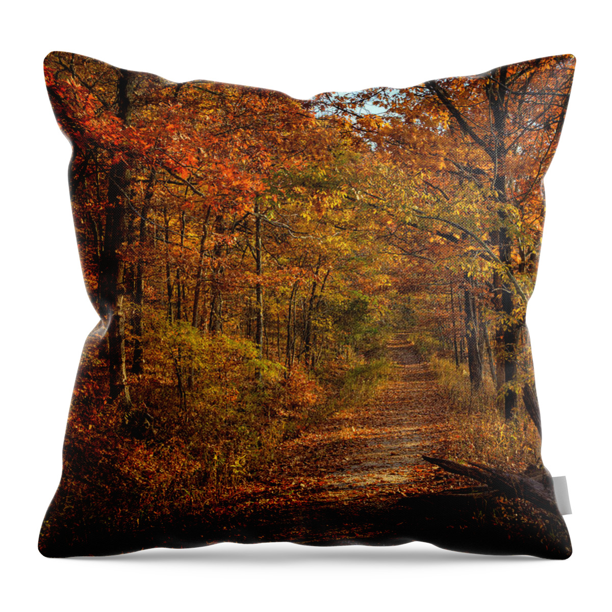 Fall Color Throw Pillow featuring the photograph Fall Color at Centerpoint Trailhead by Michael Dougherty