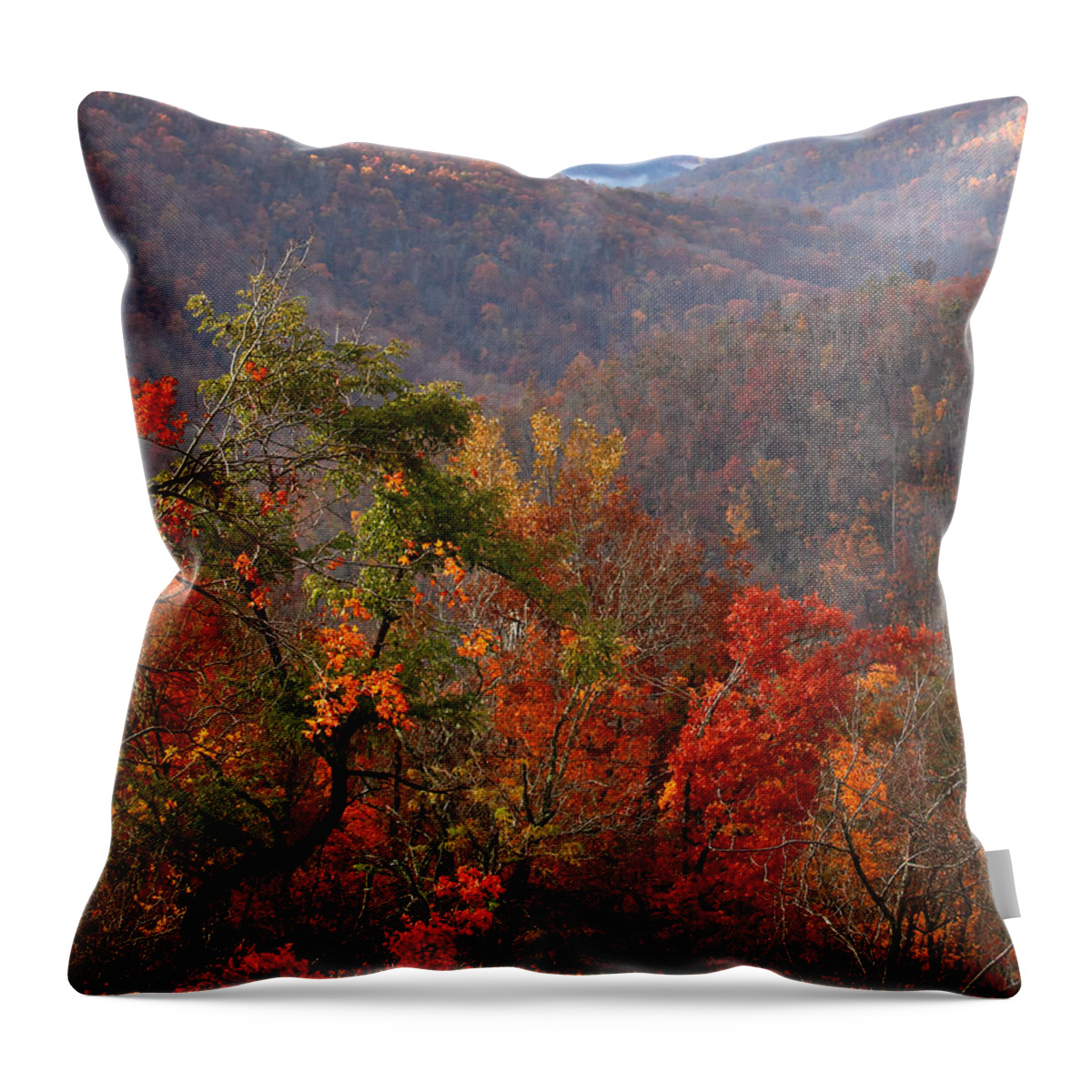 Ponca Throw Pillow featuring the photograph Fall Color Ponca Arkansas by Michael Dougherty