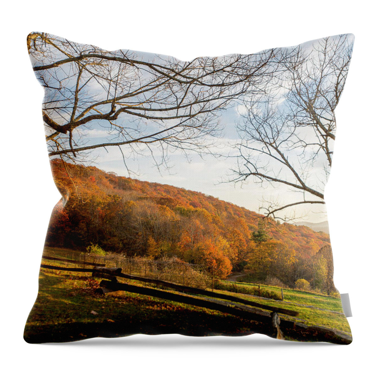 Photosbymch Throw Pillow featuring the photograph Fall Colors at the Moses Cone Estate by M C Hood