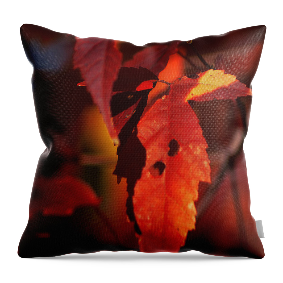 Fall Throw Pillow featuring the photograph Fall Colors by Michelle Hoffmann