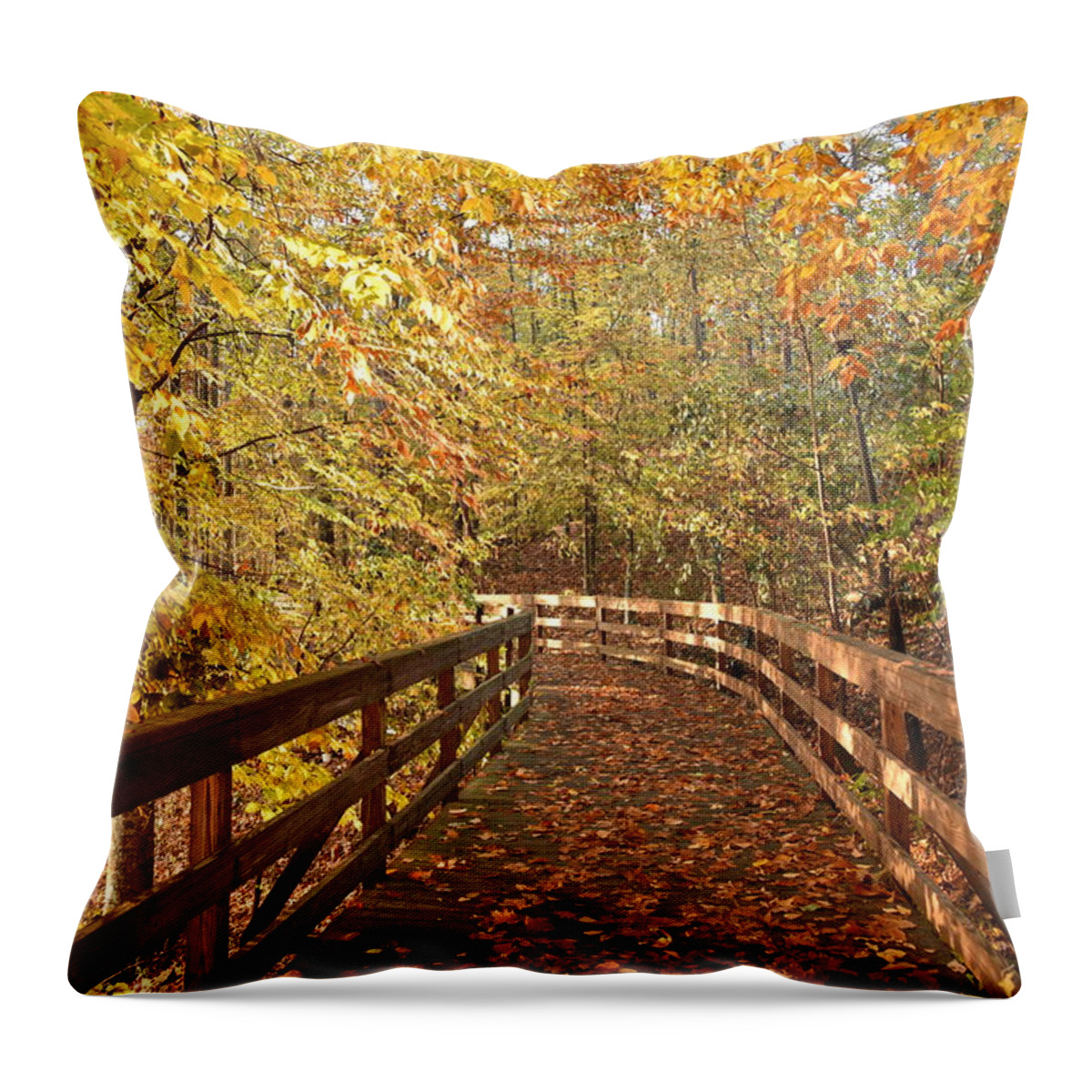 Fall Throw Pillow featuring the photograph Fall Colors on a Morning Walk in the Woods in Autumn by Scott H Phillips