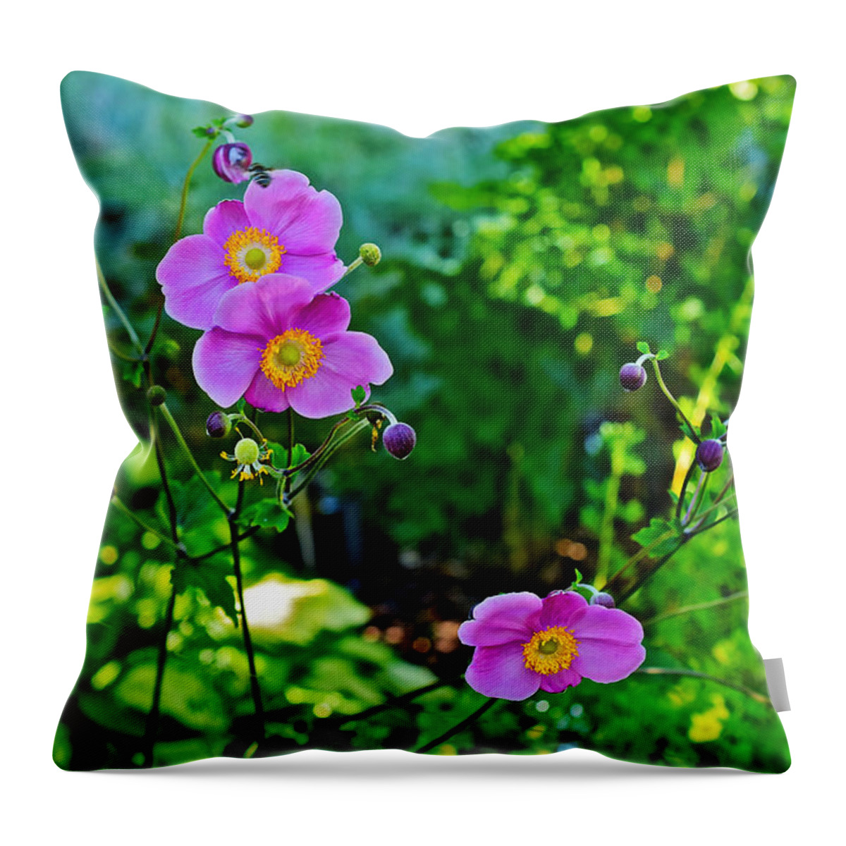 Anemone Throw Pillow featuring the photograph Fall Gardens September Charm Anemone by Janis Senungetuk