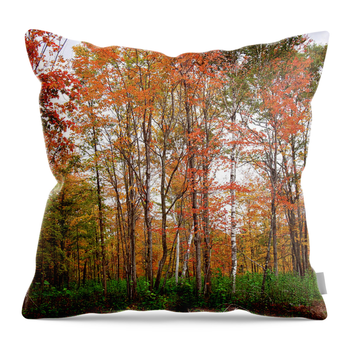 Fall Landscape Portrait Throw Pillow featuring the photograph Fall Landscape Portrait by Gwen Gibson