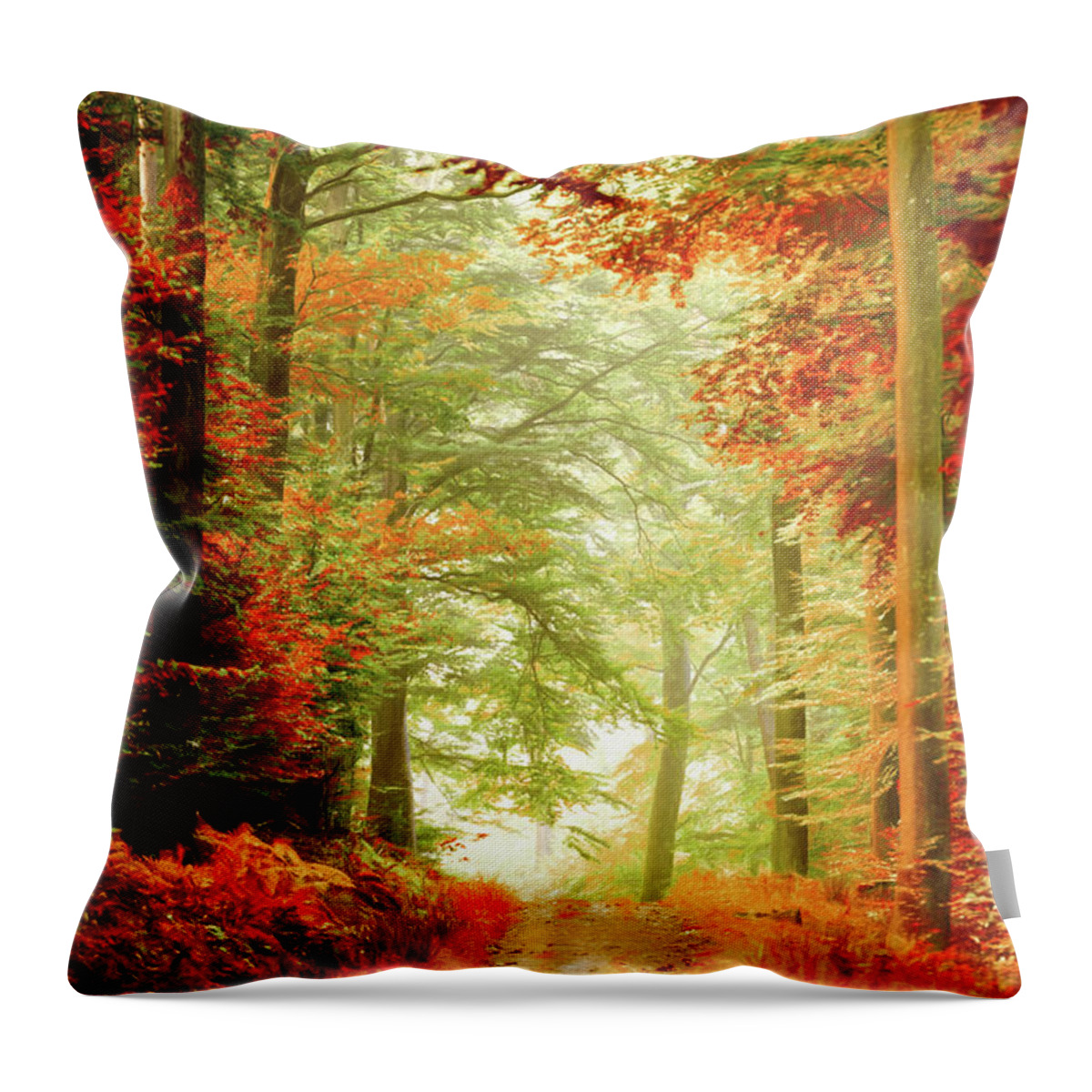 Autumn Throw Pillow featuring the photograph Fall painting by Philippe Sainte-Laudy
