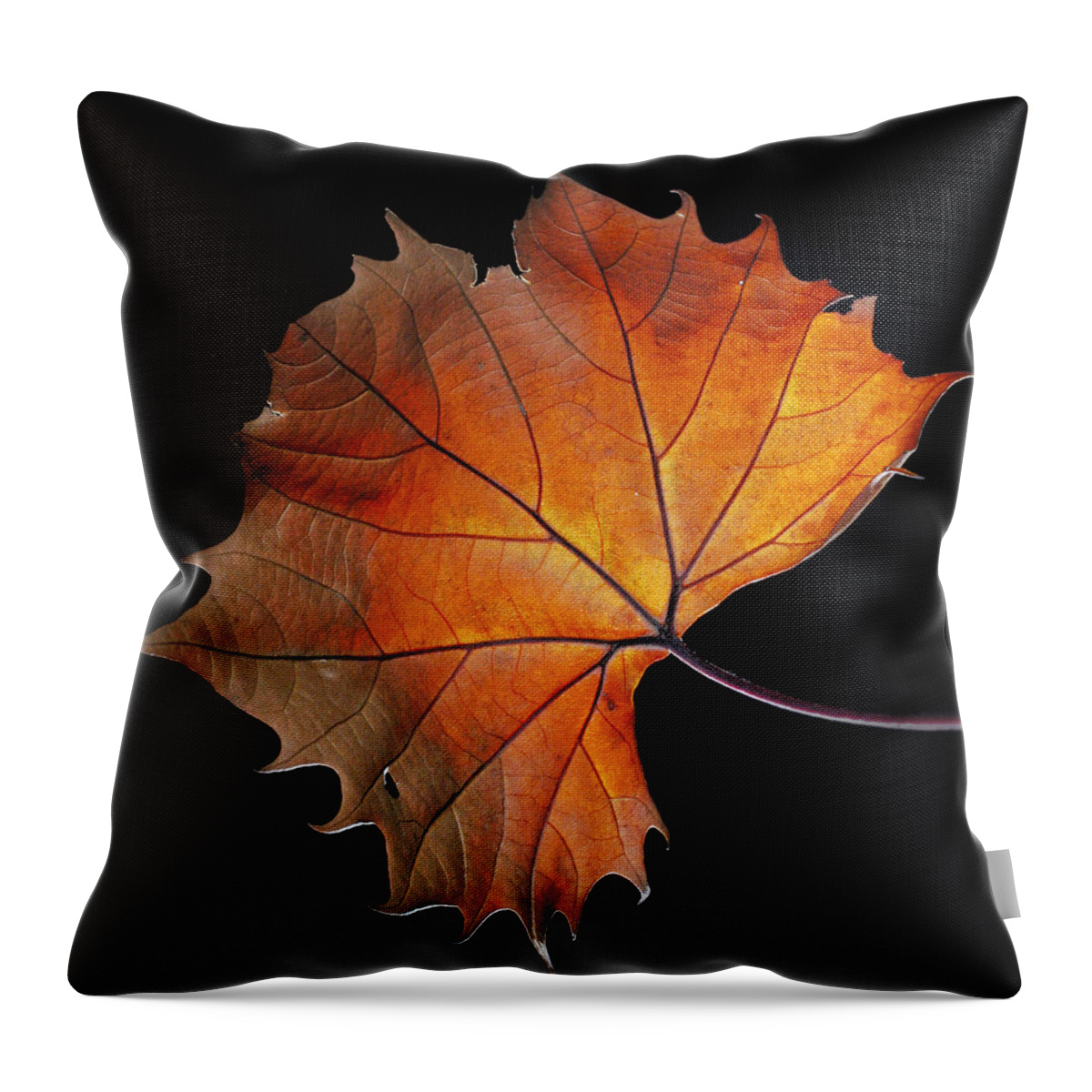 Leaf Throw Pillow featuring the photograph Fall by Robert Och