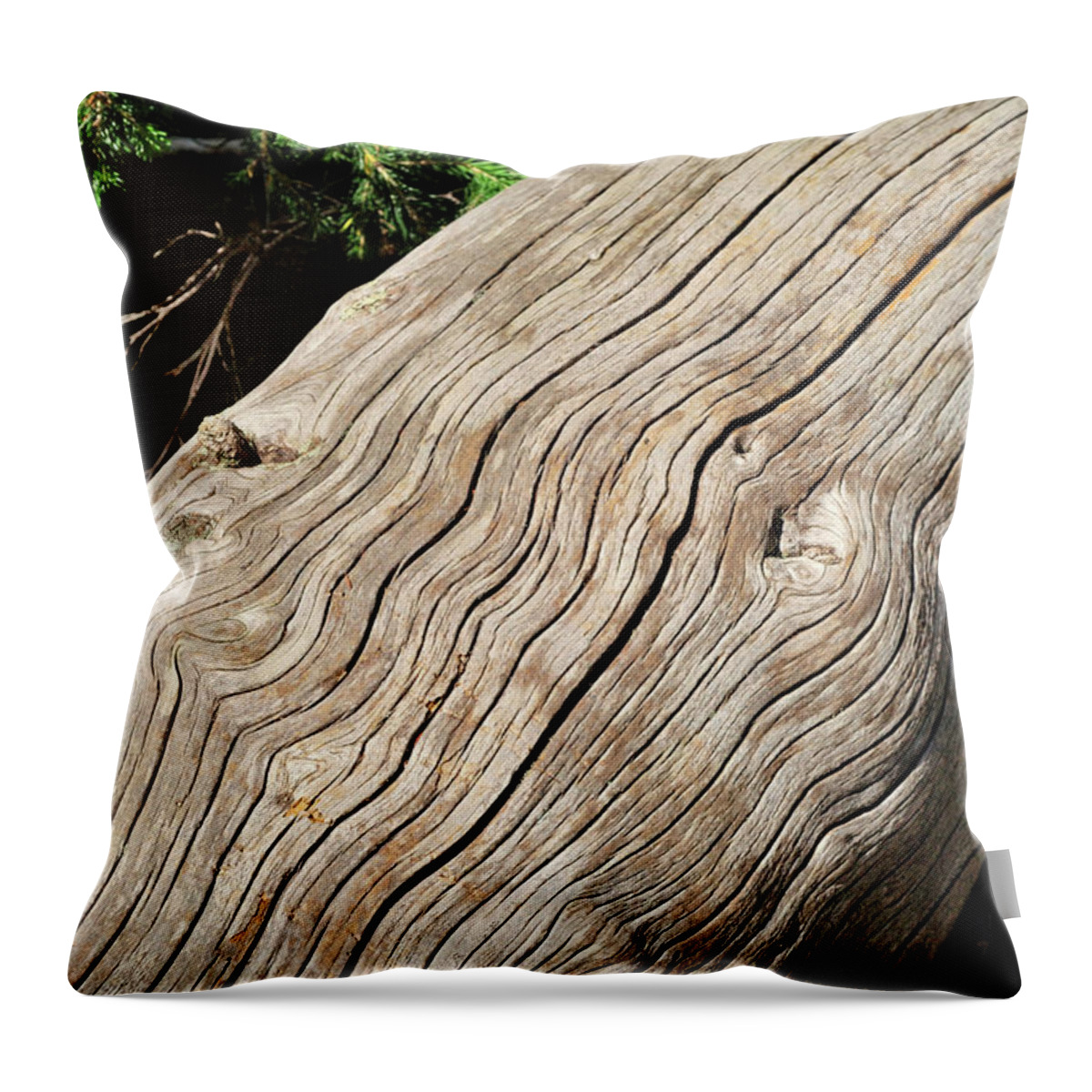 Forest Throw Pillow featuring the photograph Fallen Fir by Ron Cline