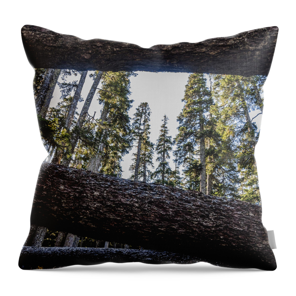 Pacific Throw Pillow featuring the photograph Fallen Trees by Pelo Blanco Photo