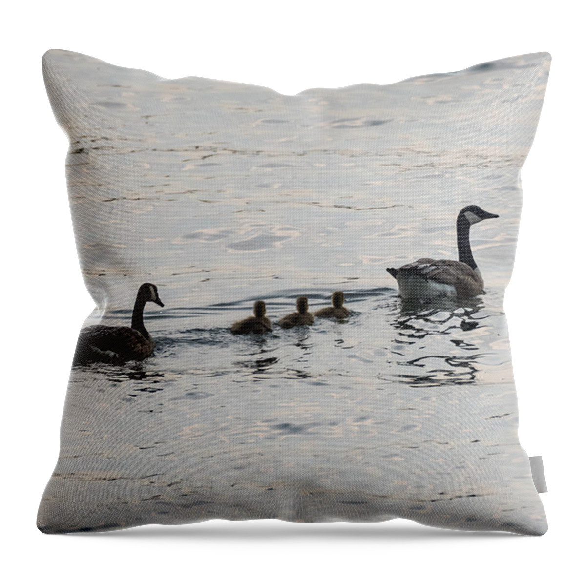 Goose Throw Pillow featuring the photograph Family of Canada Geese on the Ohio River by Holden The Moment