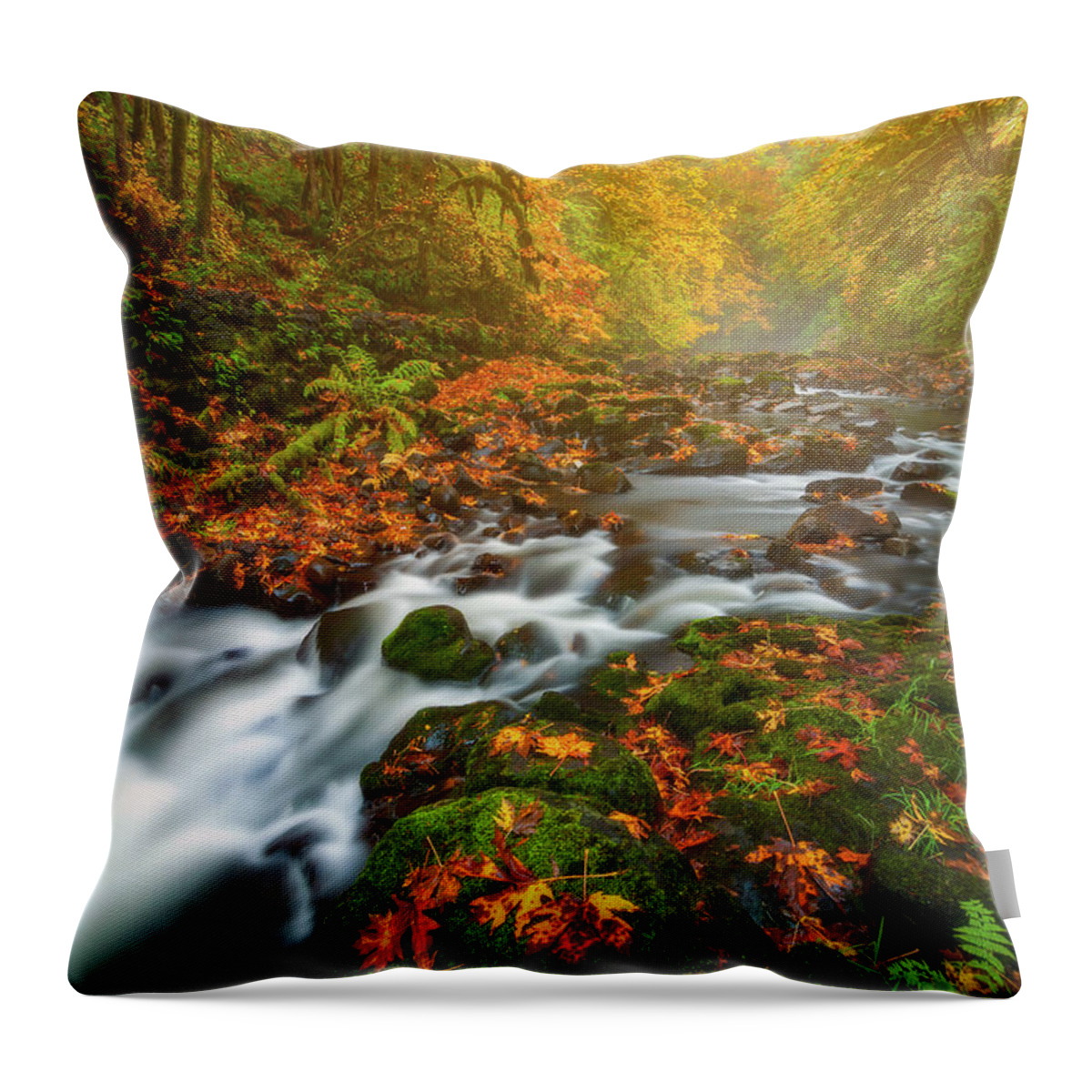 Fall Colors Throw Pillow featuring the photograph Fantasies of Fall by Darren White