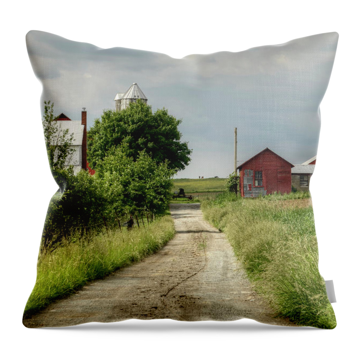 Farm Throw Pillow featuring the photograph Farm by Ann Bridges