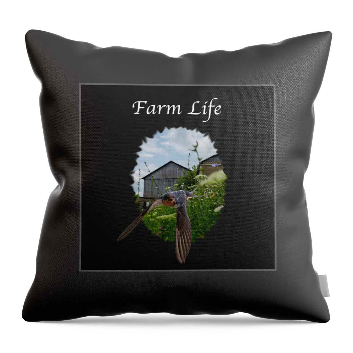Farm Throw Pillow featuring the photograph Farm Life by Holden The Moment