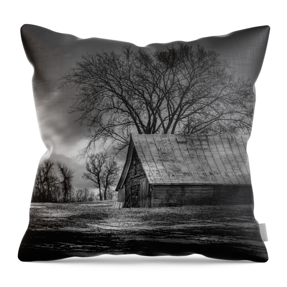 Farm Shed Throw Pillow featuring the photograph Farm Shed 2016-2 by Thomas Young