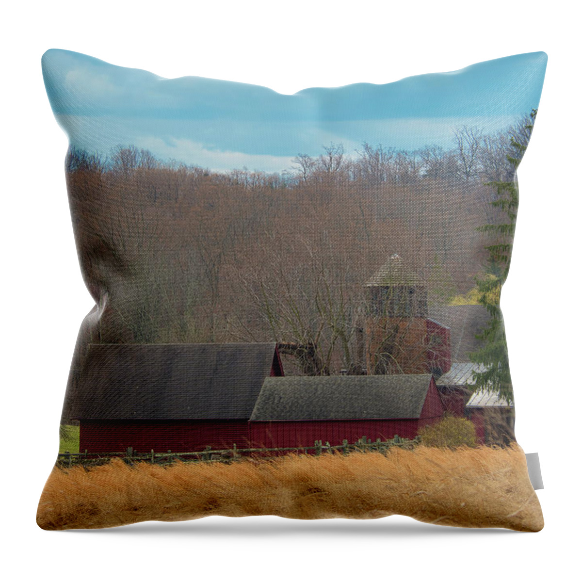 Landscape Throw Pillow featuring the photograph Farmland by Paul Ross