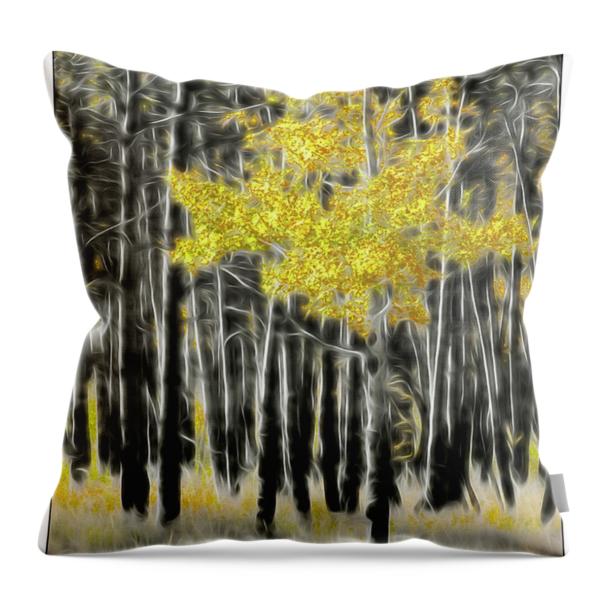 Aspen Throw Pillow featuring the photograph Feathered Aspen by Peggy Dietz
