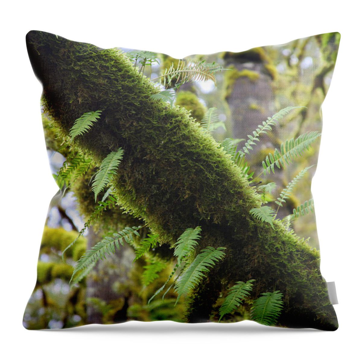 Moss Throw Pillow featuring the photograph Feathered Moss by Tammy Pool