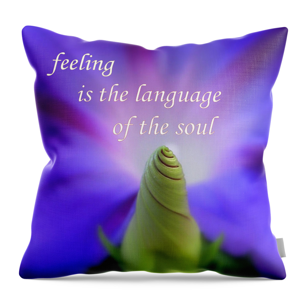 Flower Throw Pillow featuring the photograph Feeling by Tina Marie