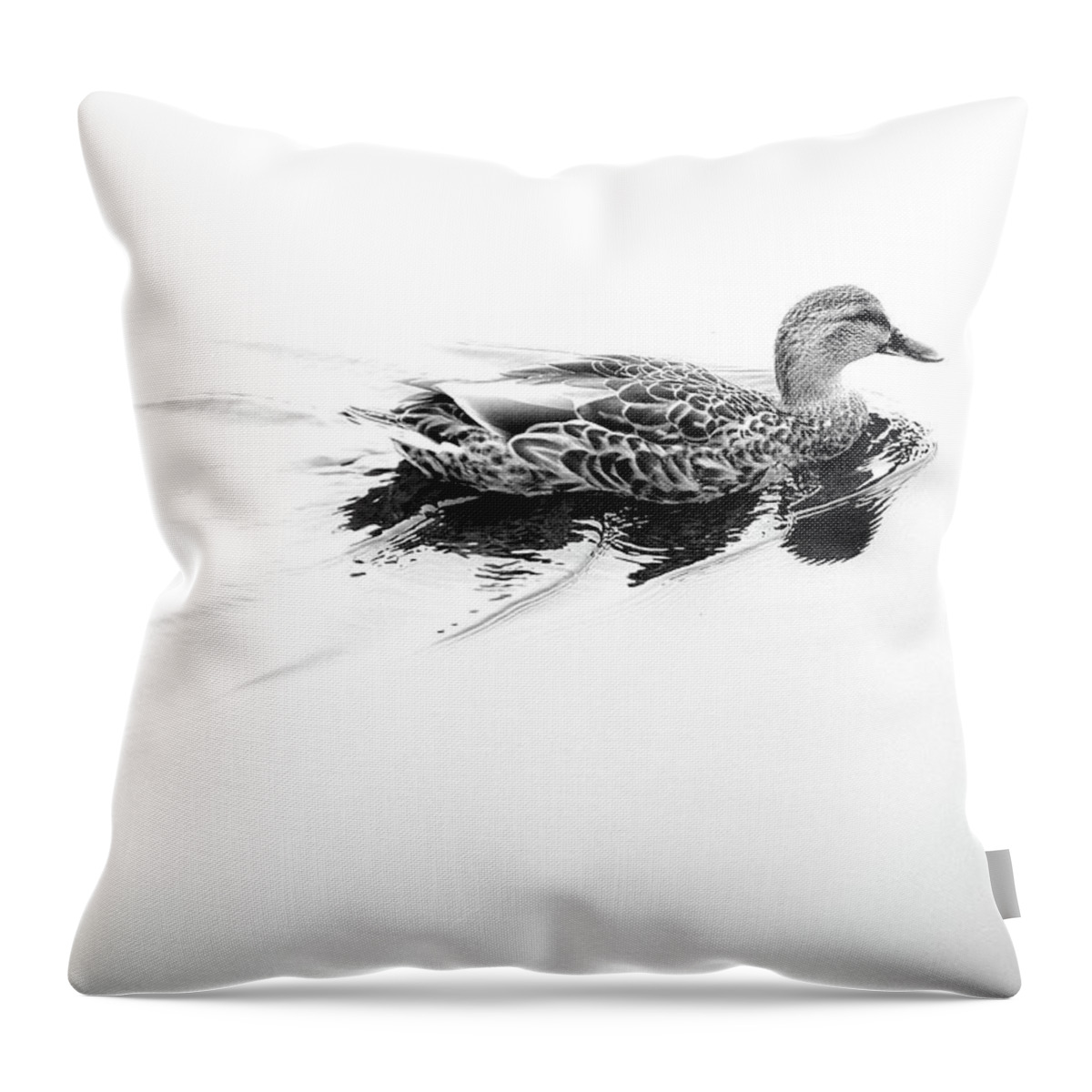 Mallard Duck Throw Pillow featuring the photograph Female Mallard Duck in Black and White 2 by Angie Tirado