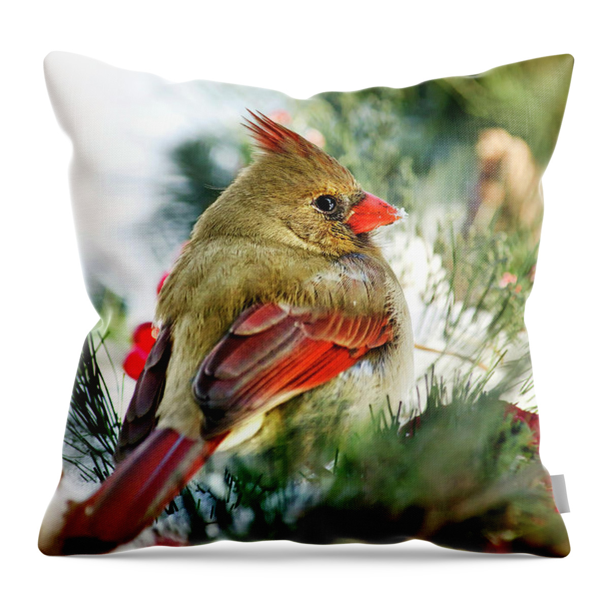Cardinal Throw Pillow featuring the photograph Female Northern Cardinal by Christina Rollo