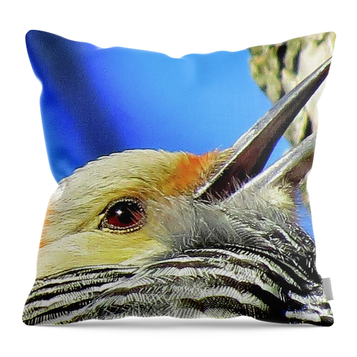 Woodpeckers Throw Pillow featuring the photograph Female Red-bellied Woodpecker Close Up by Linda Stern