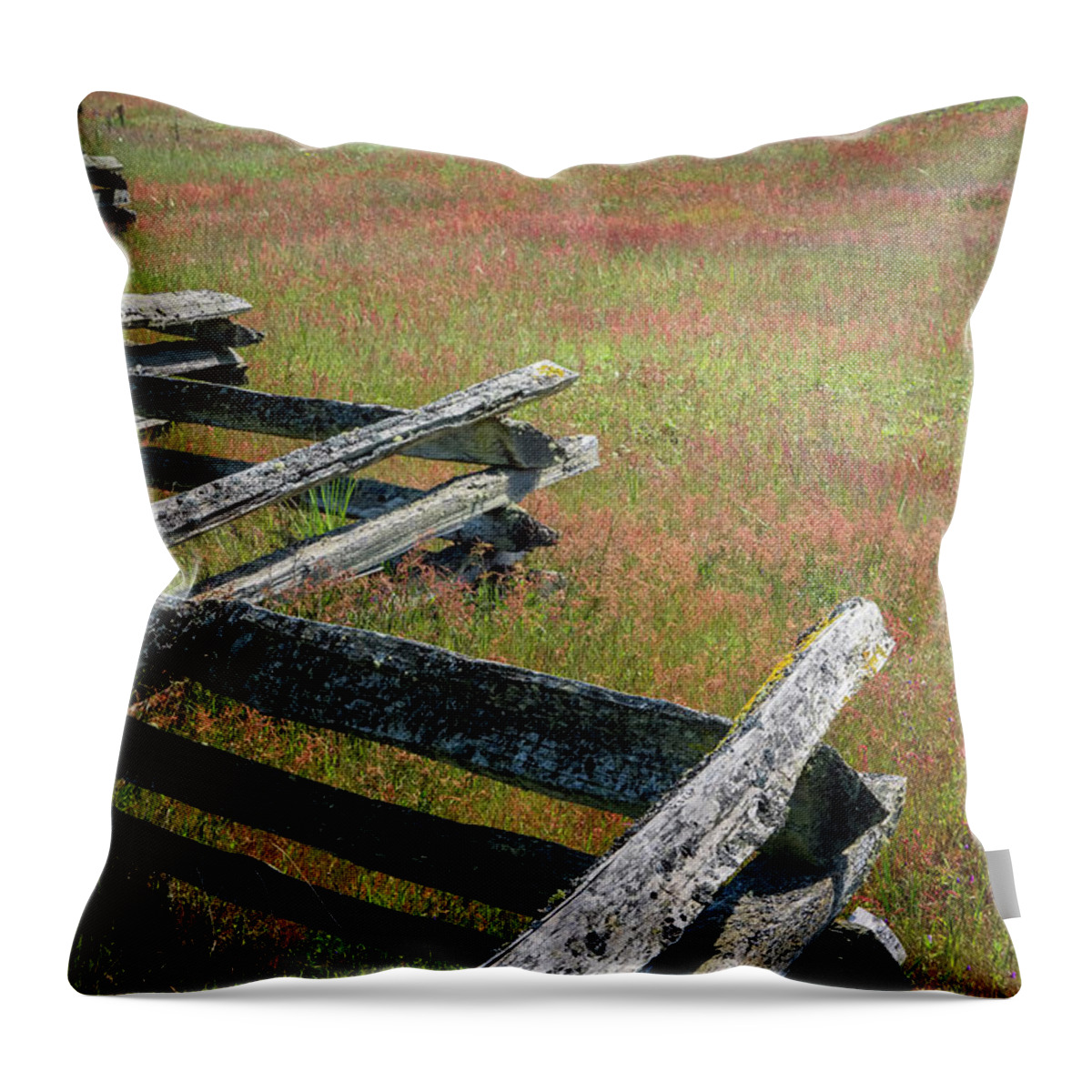 Oregon Coast Throw Pillow featuring the photograph Fence And Field by Tom Singleton