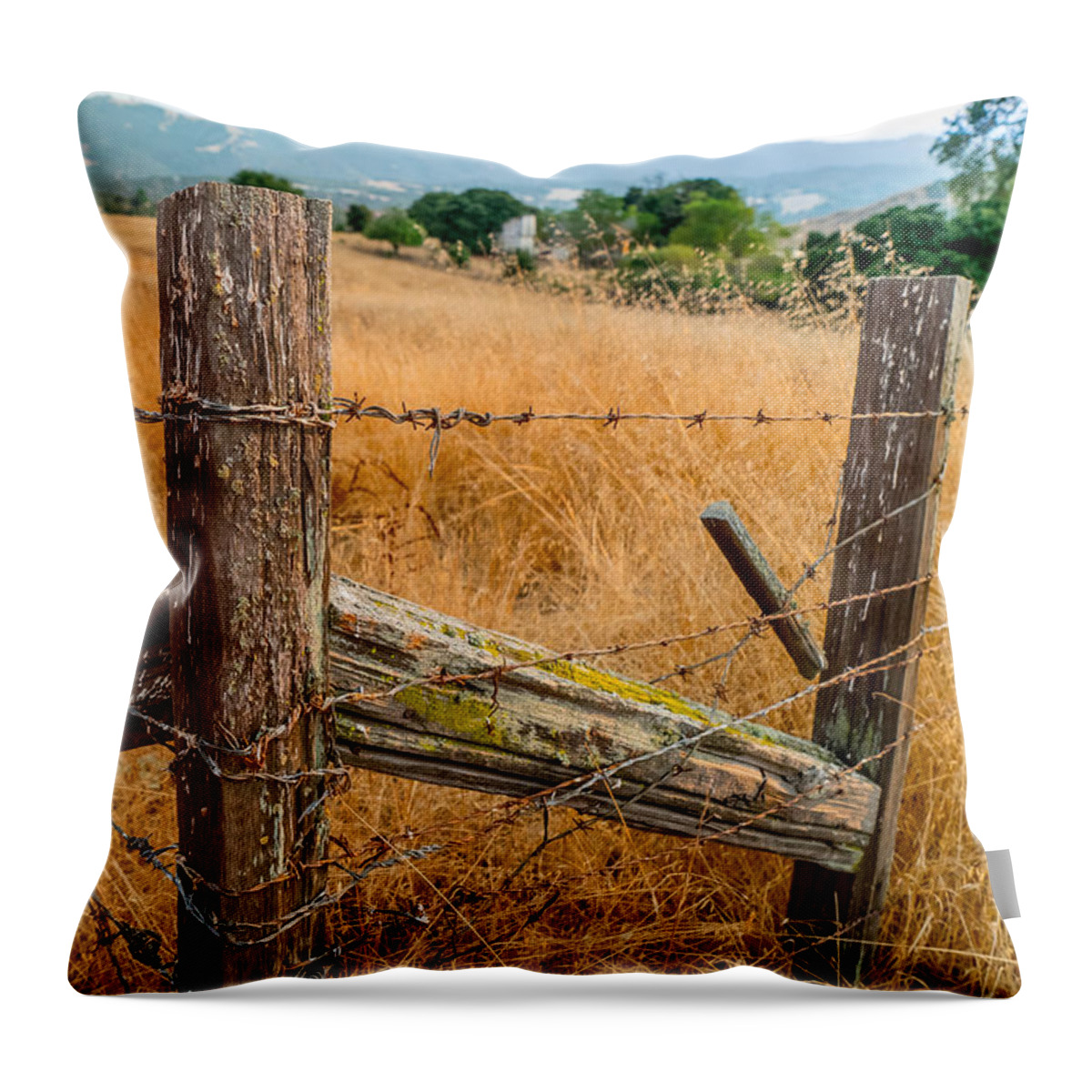 Ranch Throw Pillow featuring the photograph Fence Posts by Derek Dean