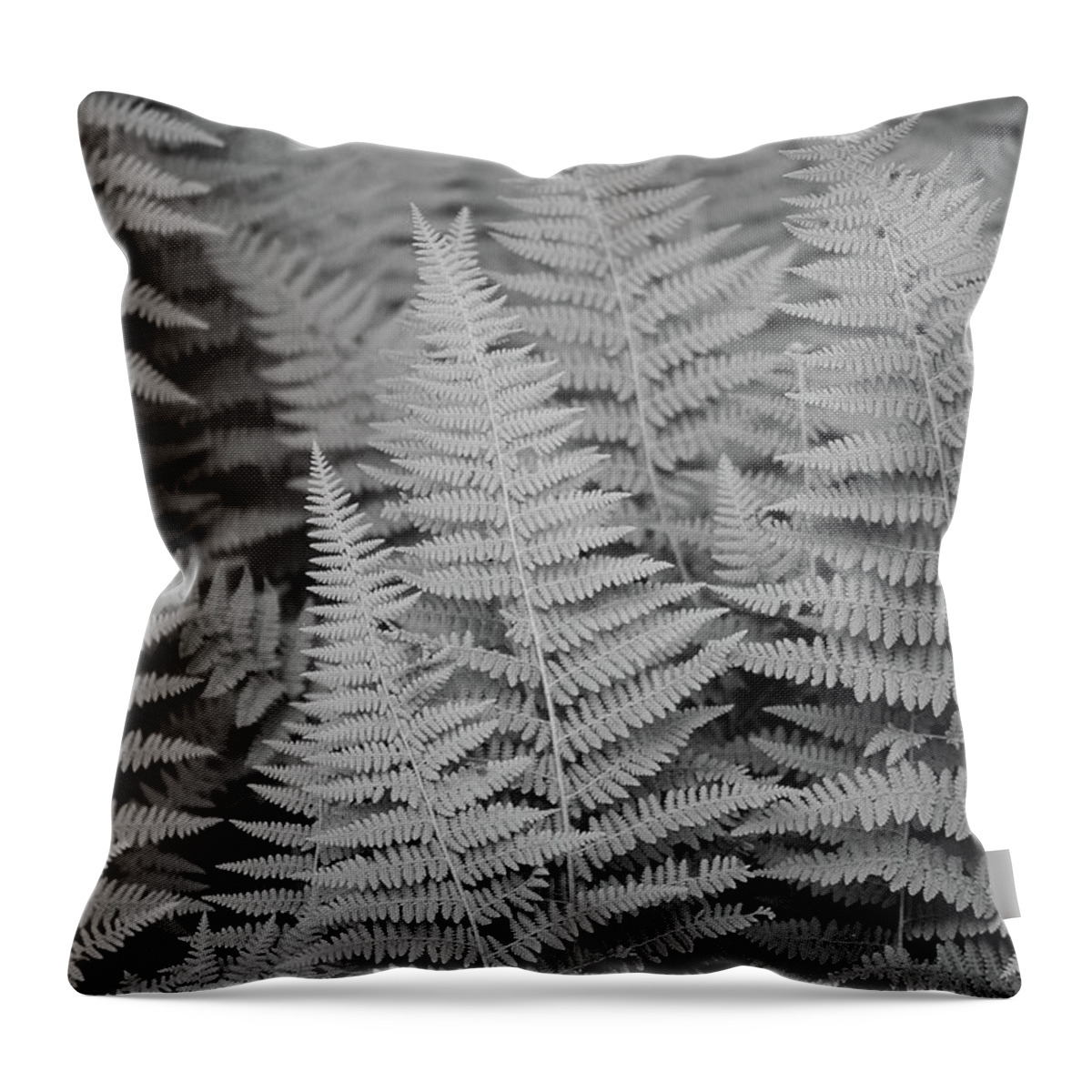 Ferns Throw Pillow featuring the photograph Ferns, Roadside by Amanda Rimmer