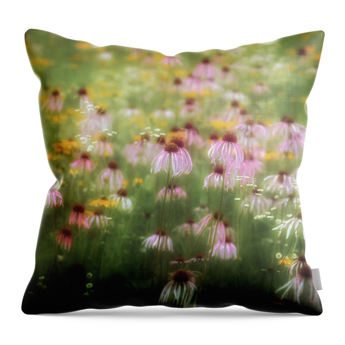  Throw Pillow featuring the photograph Field of Coneflowers 5x6 by James Barber