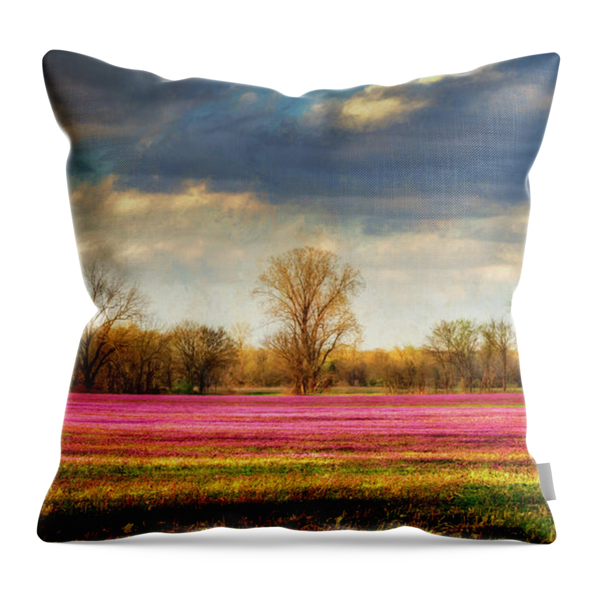 Trifolium Pratense Throw Pillow featuring the photograph Fields of Clover by James Barber