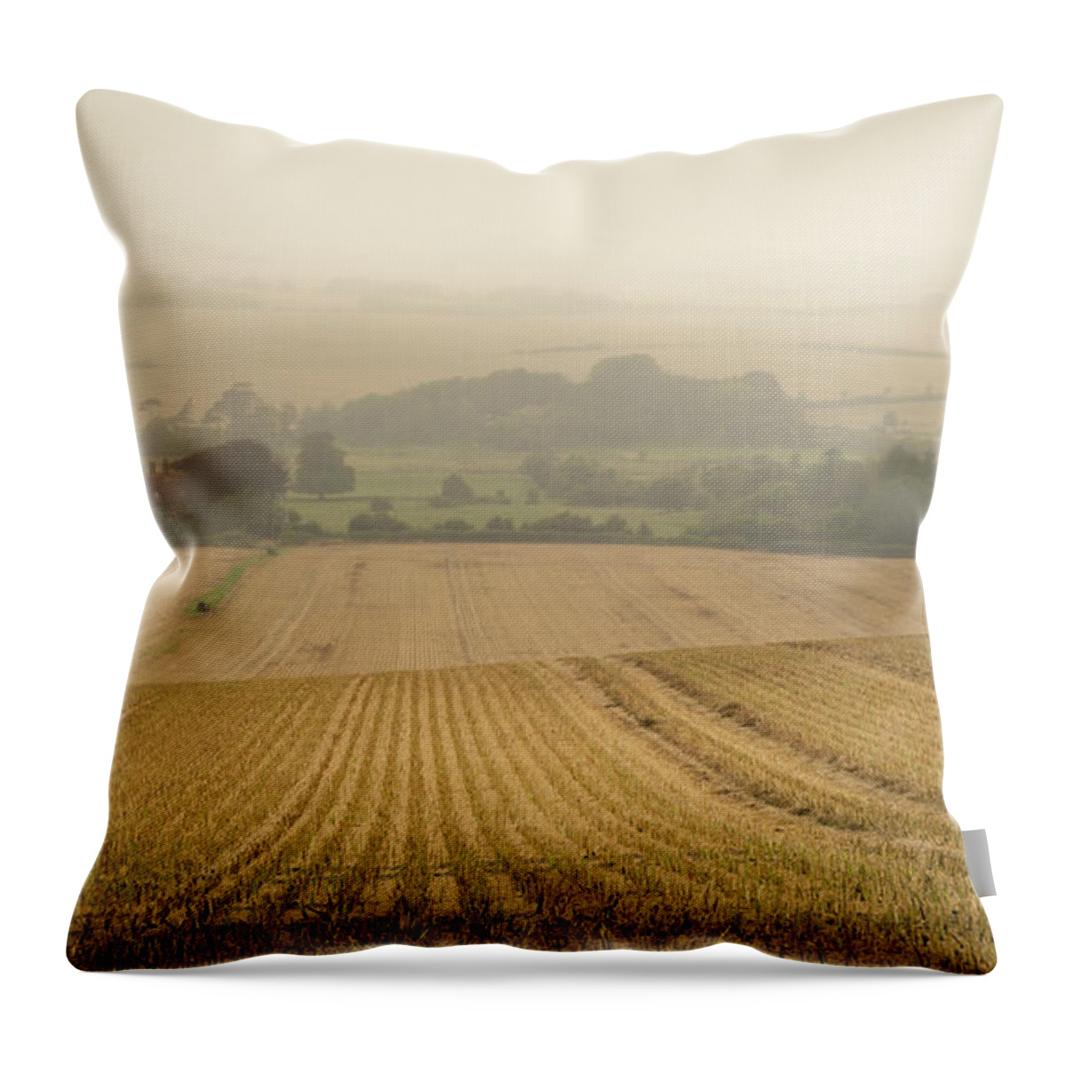 Field Throw Pillow featuring the photograph Fields of Gold by Perry Rodriguez
