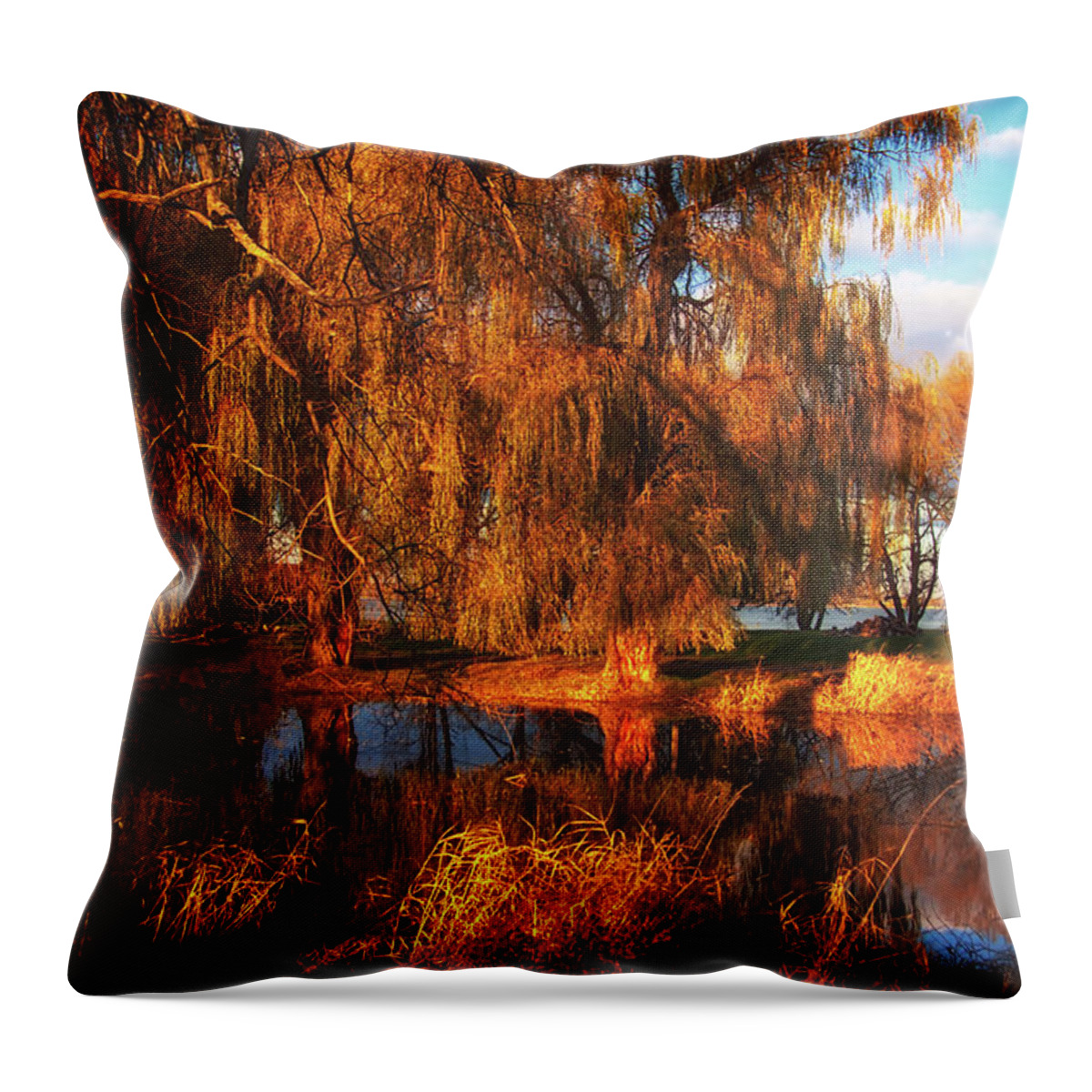 Orange Throw Pillow featuring the photograph Fiery orange by Tatiana Travelways
