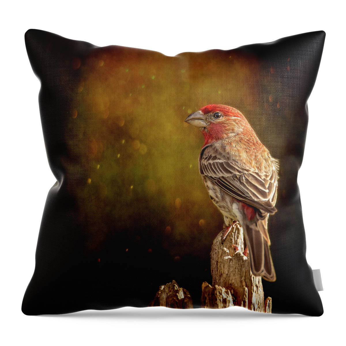 Animal Throw Pillow featuring the photograph Finch From The Back by Bill and Linda Tiepelman