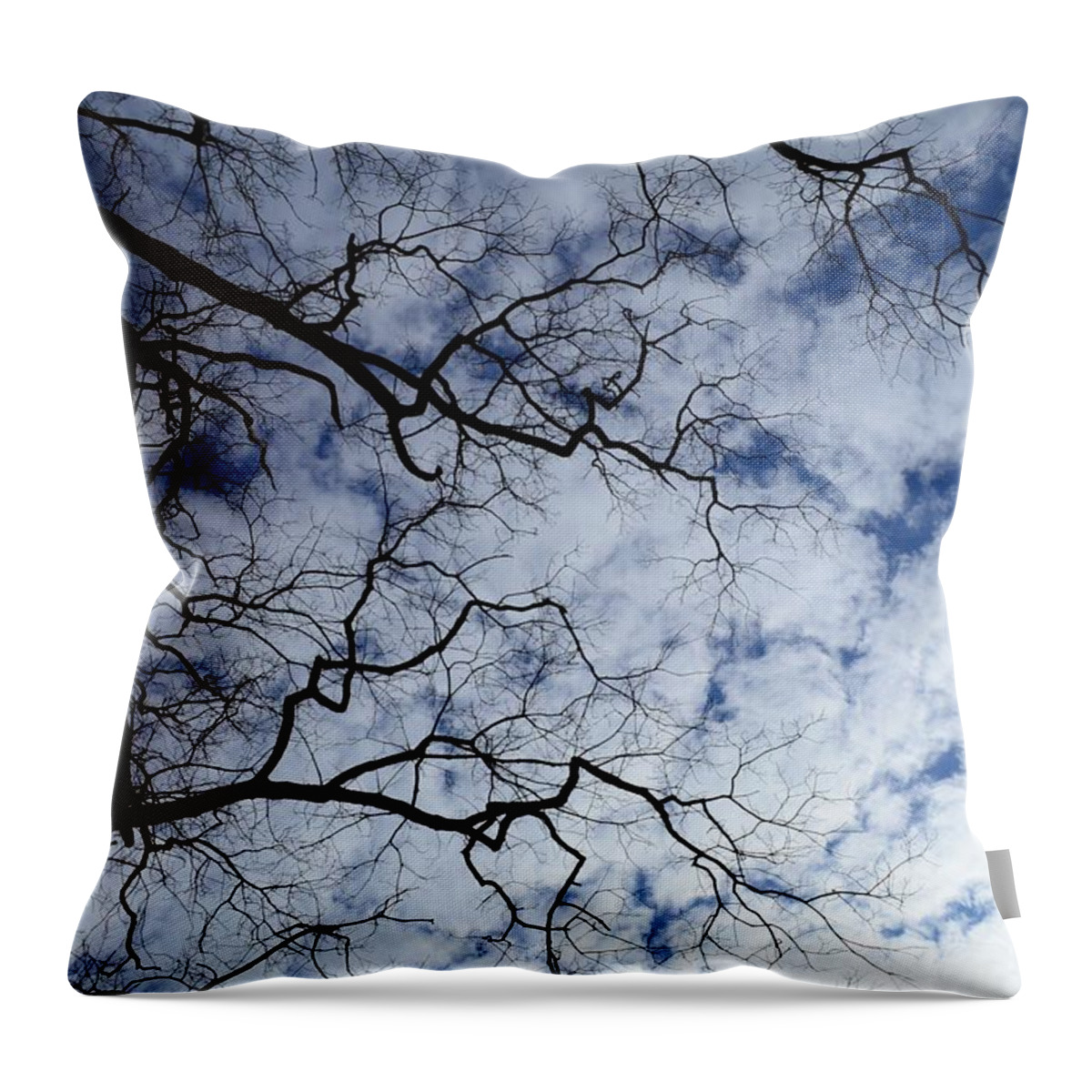 Sky Throw Pillow featuring the photograph Fingers in the sky by Stacie Siemsen