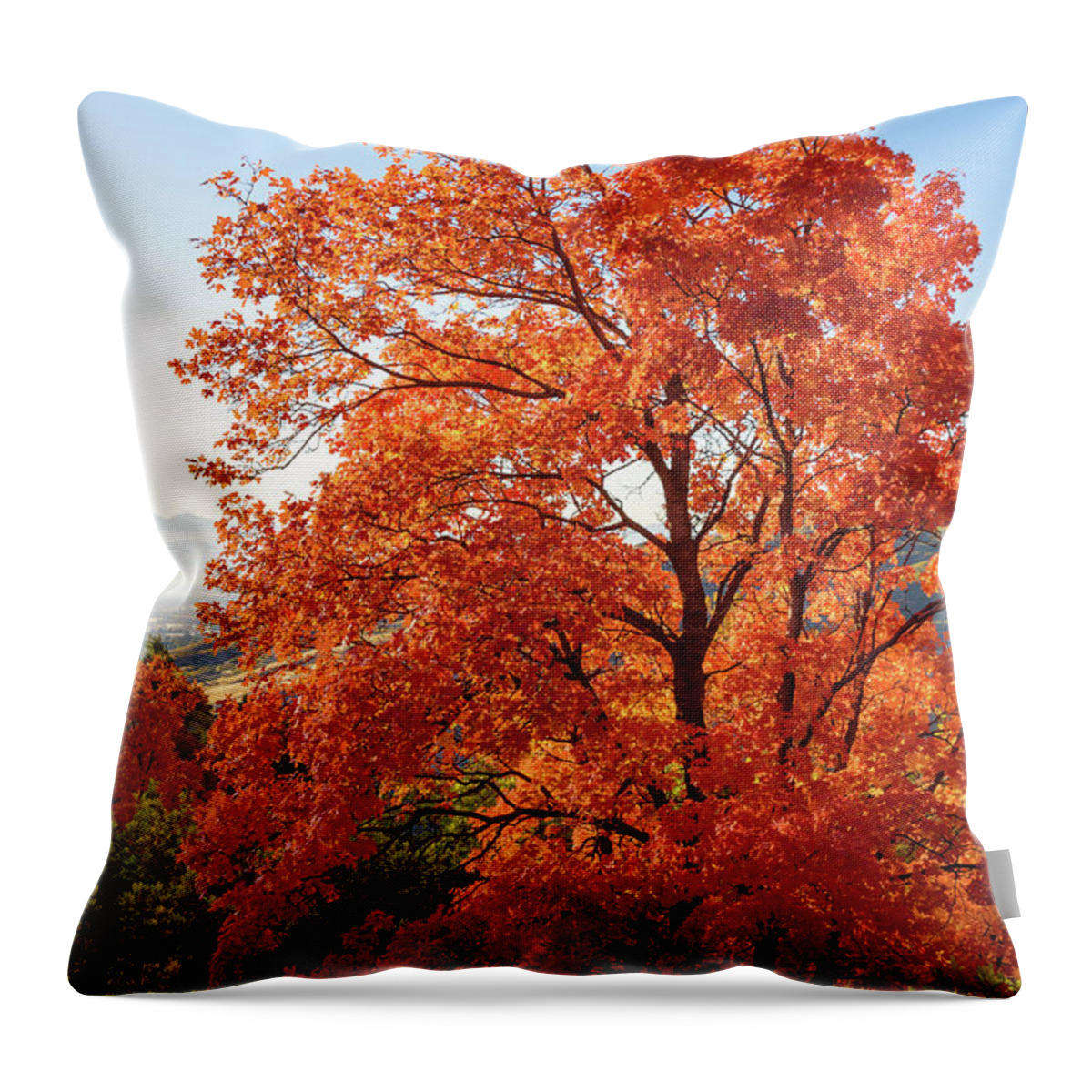 Fire Throw Pillow featuring the photograph Fire by Chad Dutson