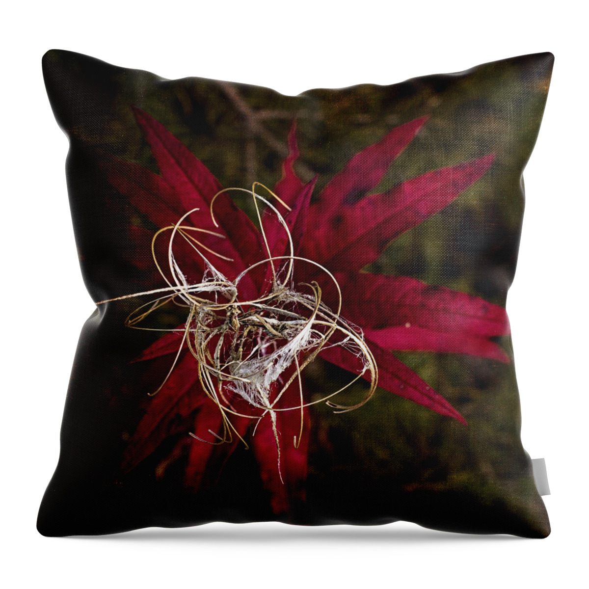Wildflower Throw Pillow featuring the photograph Fireweed Seed by Fred Denner