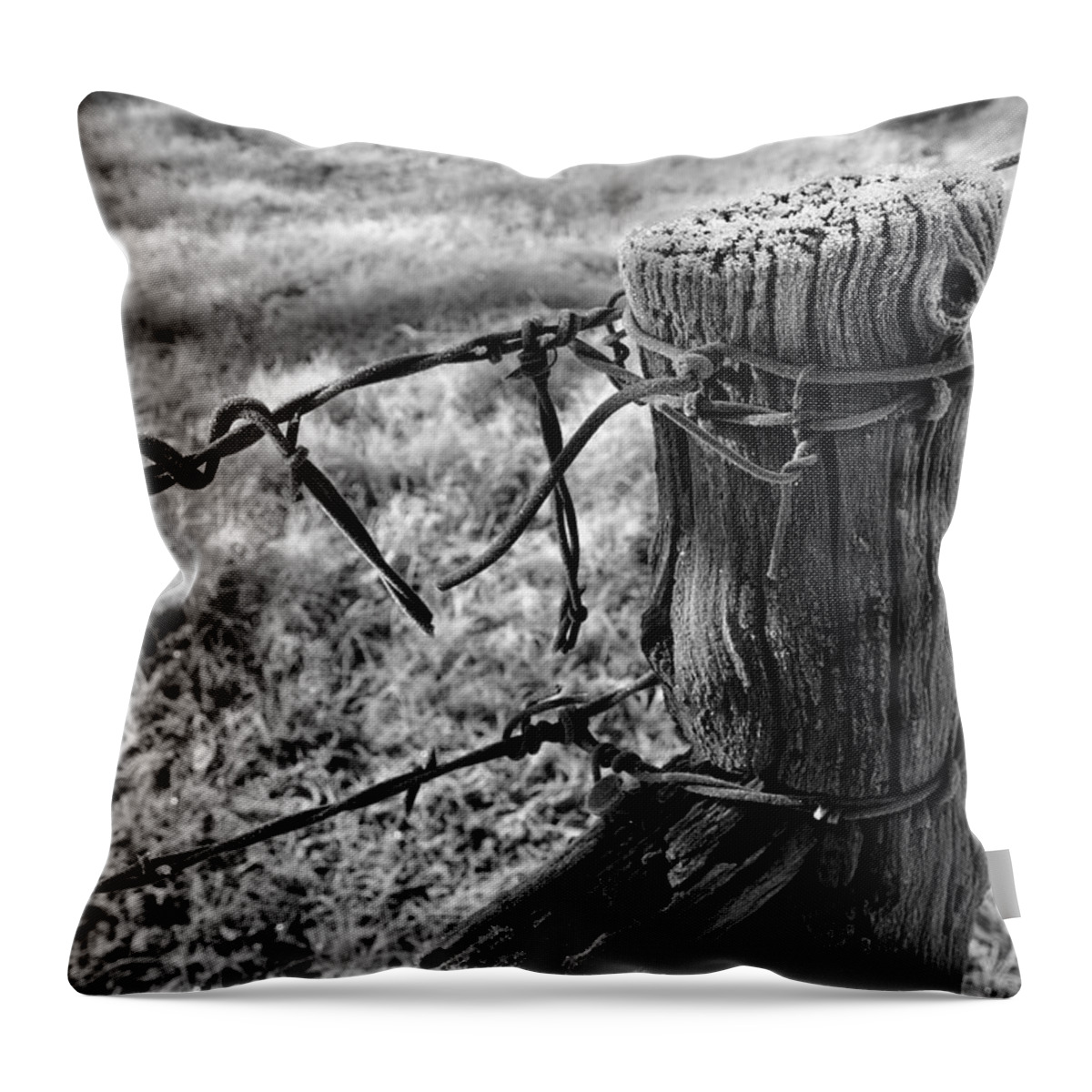 Farm Throw Pillow featuring the photograph First Frost by Ron Cline
