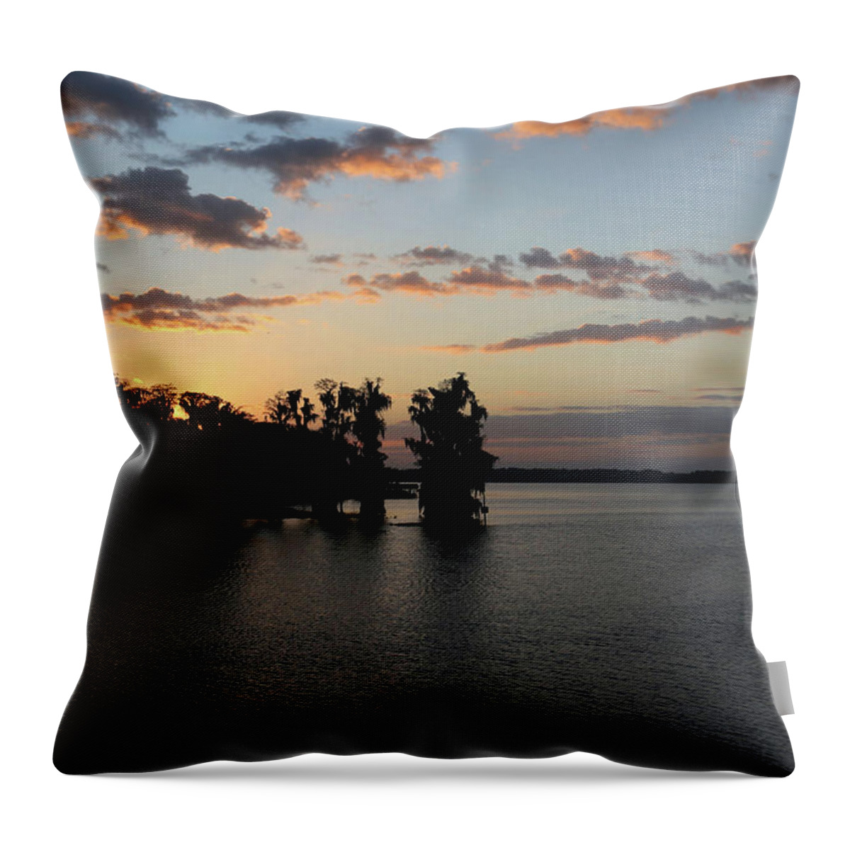 Landscape Throw Pillow featuring the photograph First Light by Steve Parr