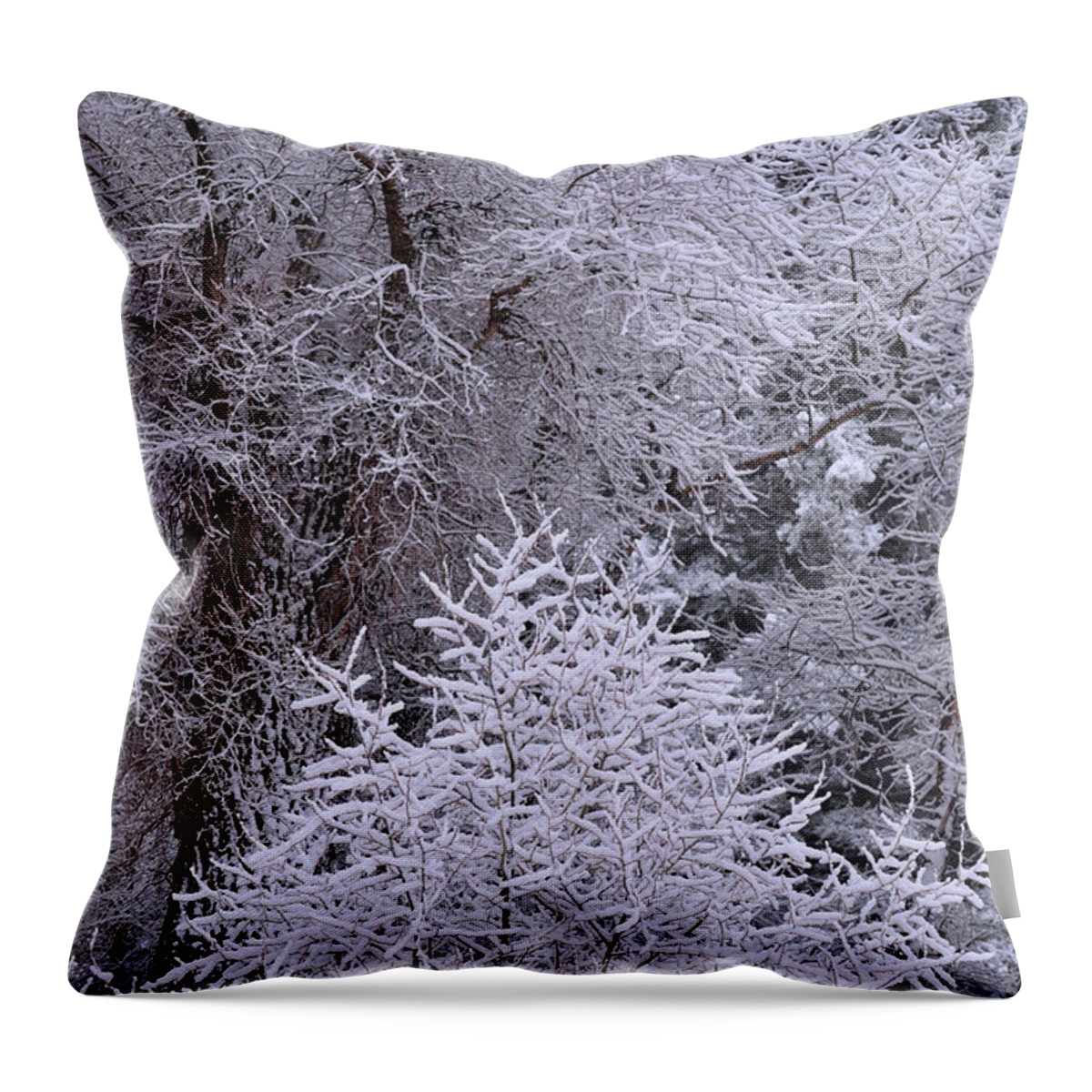 Snow Throw Pillow featuring the photograph First Snow I by Ron Cline