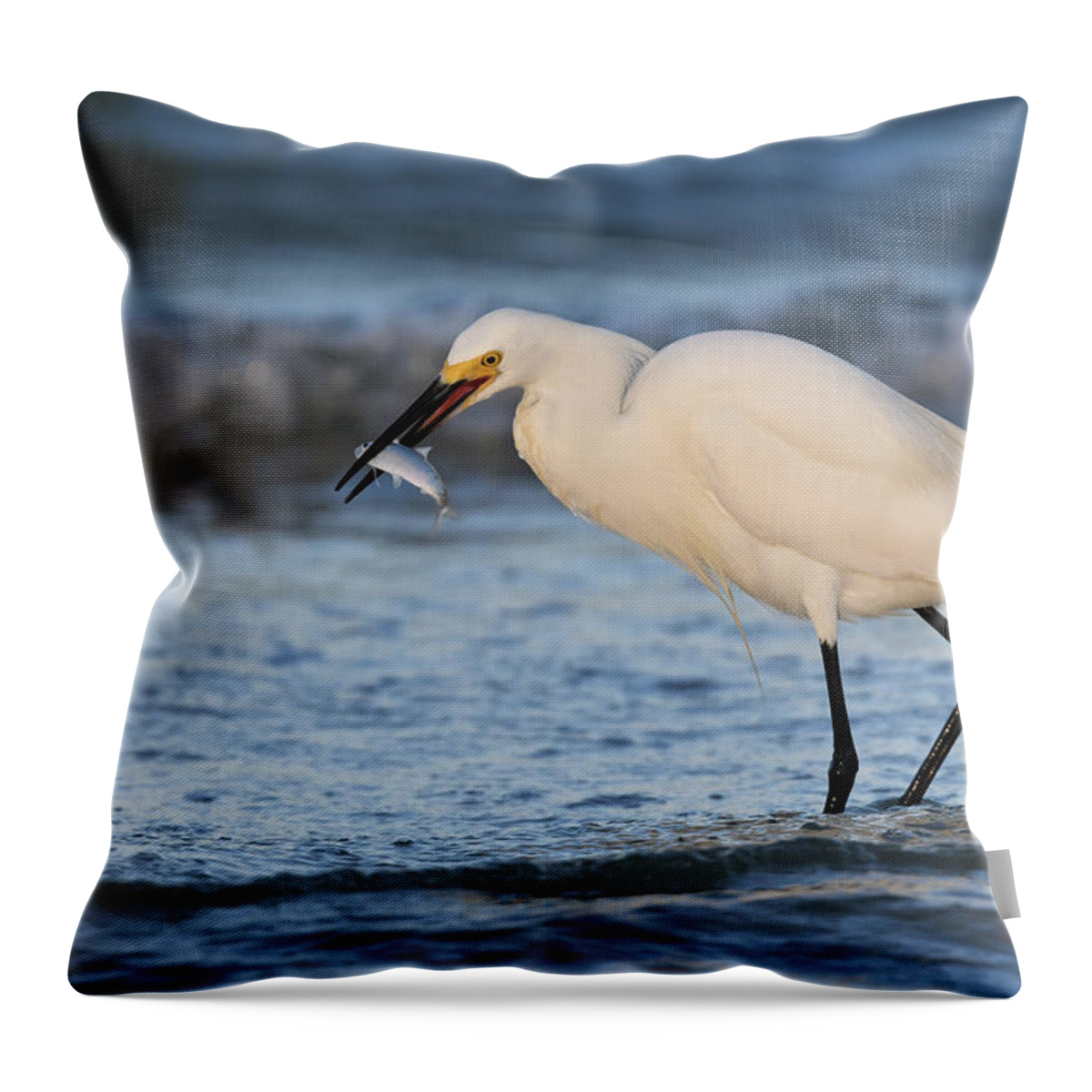 Bird Throw Pillow featuring the photograph Fish for Breakfast by Artful Imagery