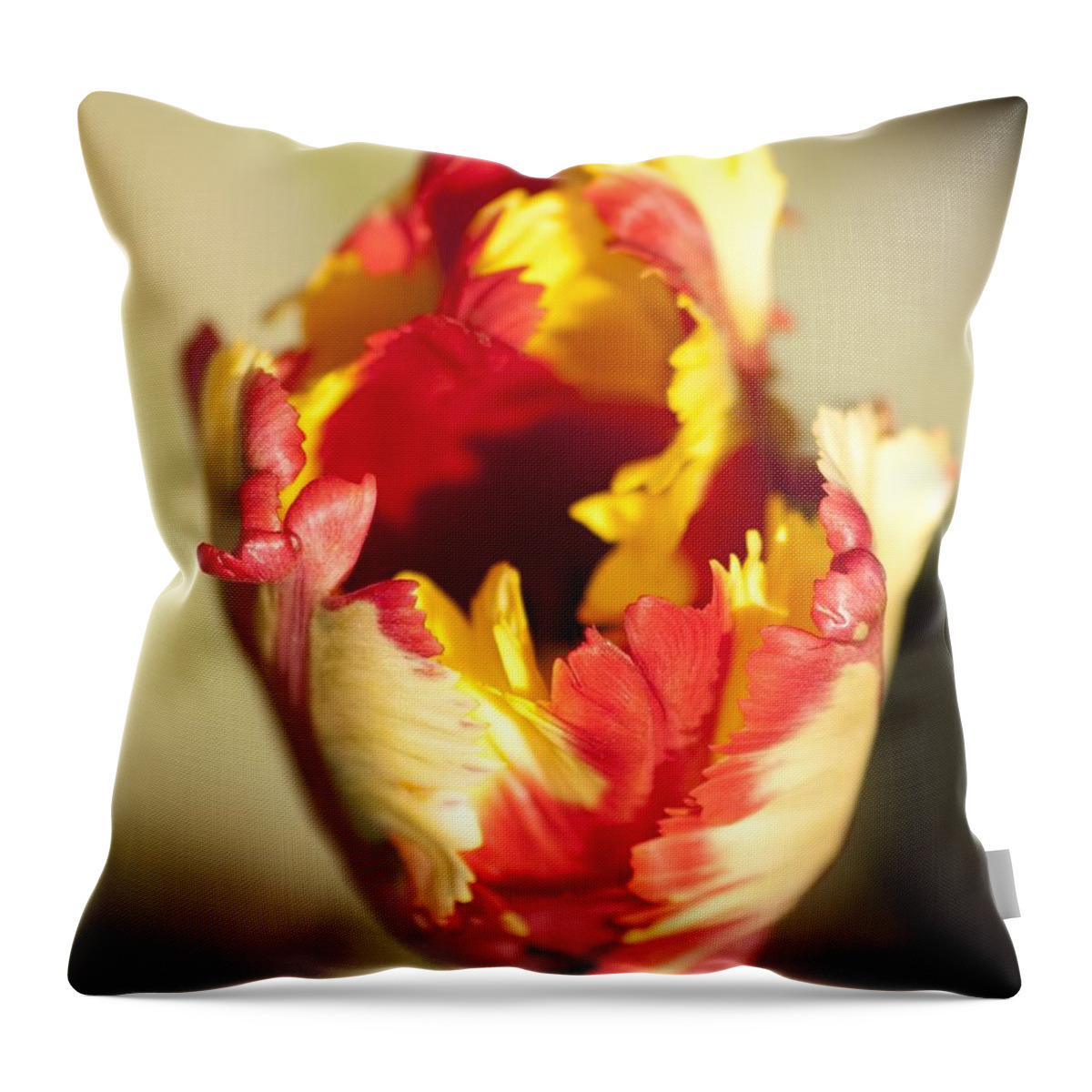 Flaming Parrot Tulip Throw Pillow featuring the photograph Flaming Parrot by Brad Granger