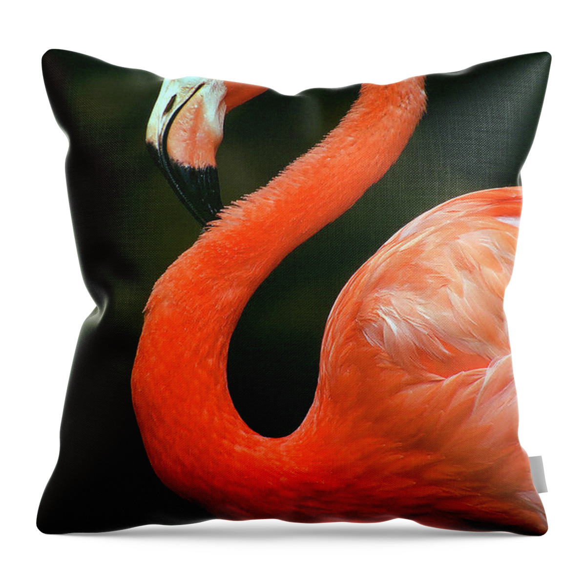 Flamingo Throw Pillow featuring the photograph Flamingo by Ted Keller