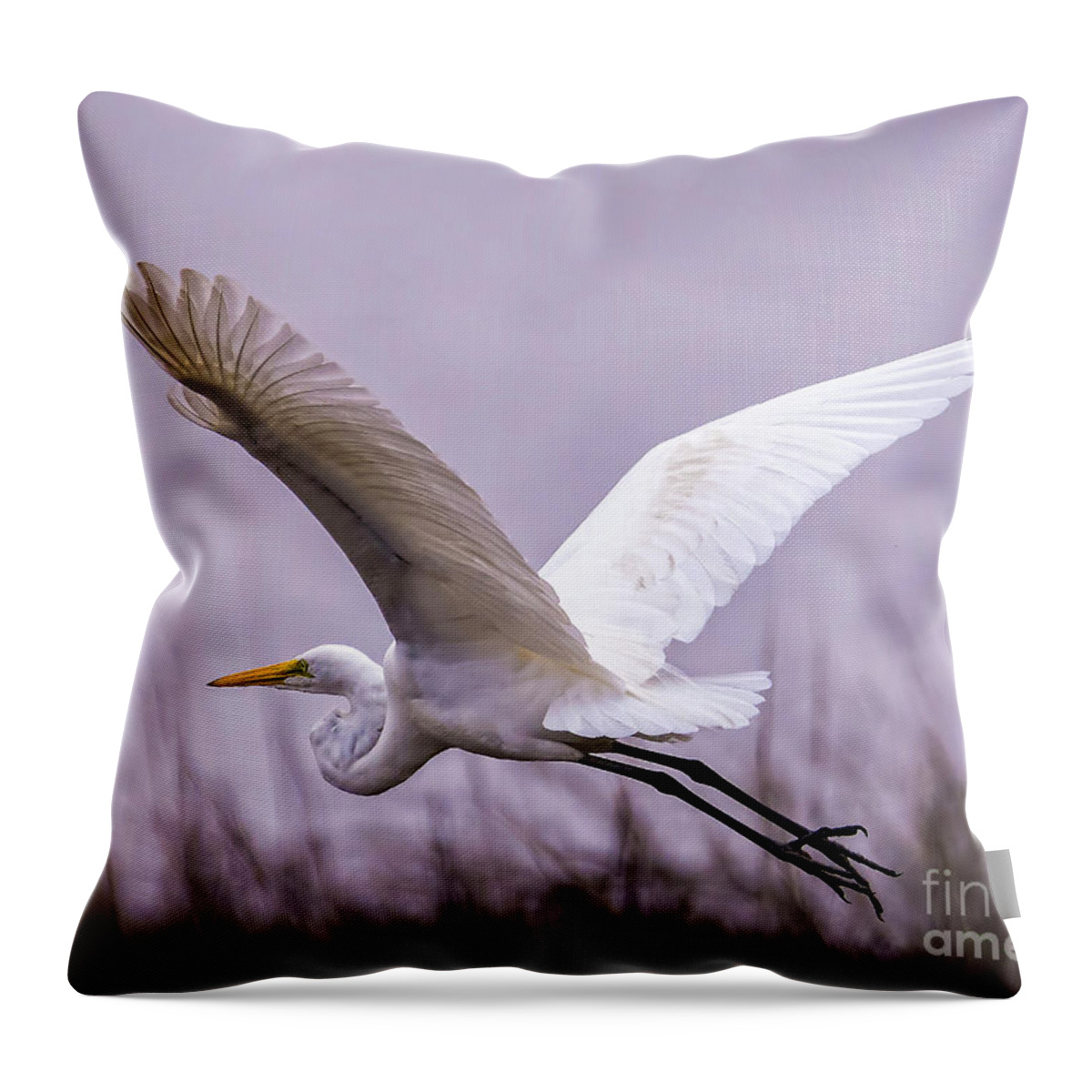 Egret Throw Pillow featuring the photograph Flight Of The Great Egret by DB Hayes