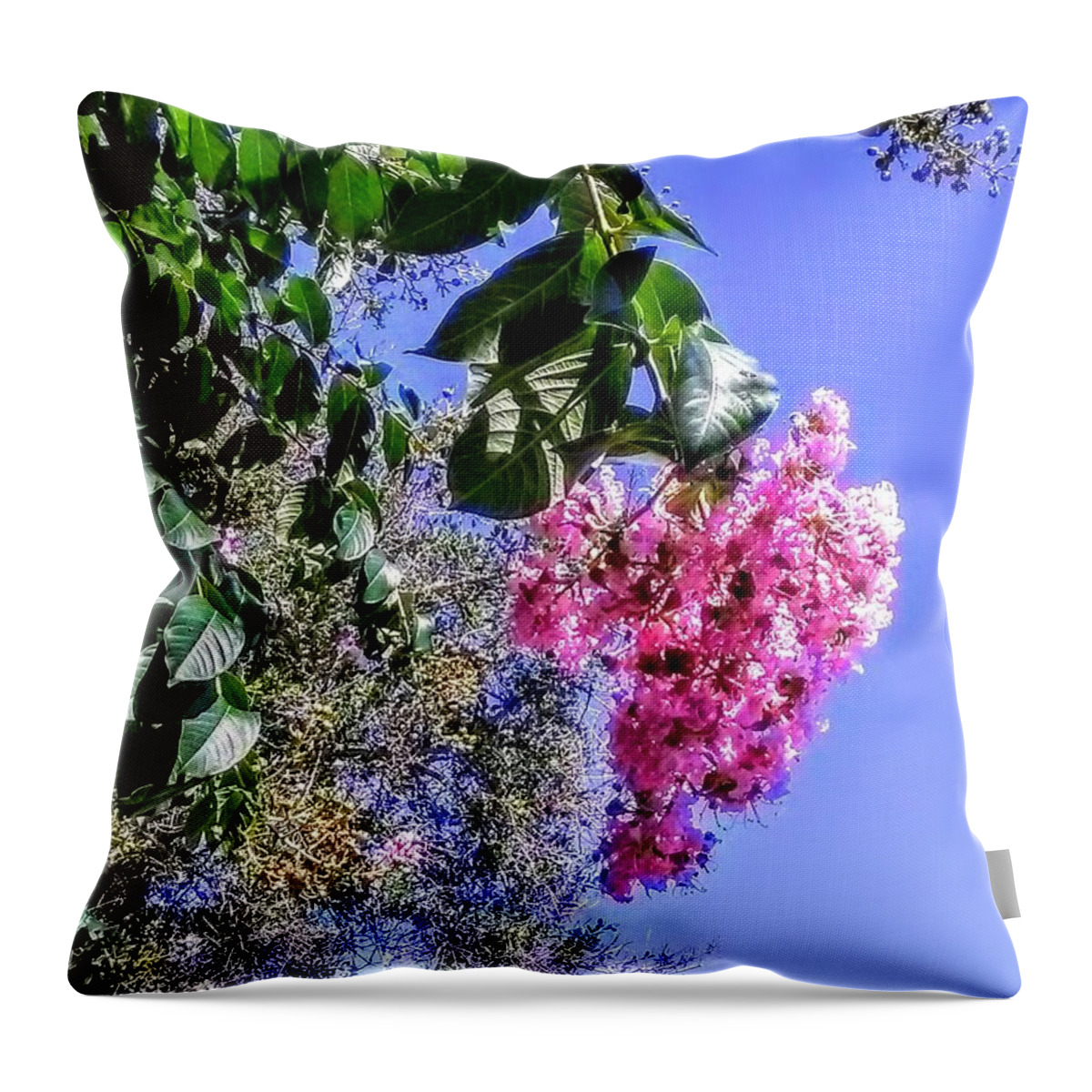 Flowering Tree Throw Pillow featuring the photograph Floral Essence by Suzanne Berthier