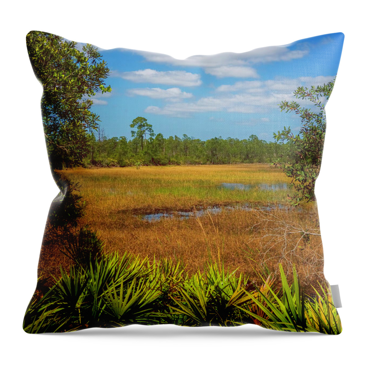 North Port Florida Throw Pillow featuring the photograph Florida Marsh by Tom Singleton